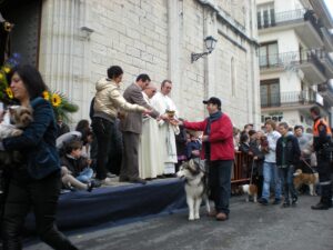 Benedicció d'animals