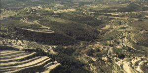 Zona de bancals a Benissa Zona de bancals a Benissa