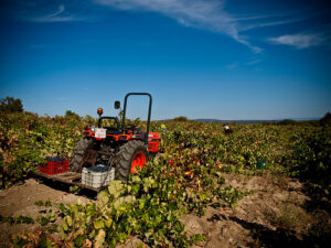 Tractor (foto del flickr d'Alejandro Espinosa)