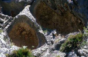 Pintures rupestres del Pla de Petracos