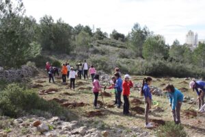 Alumnes plantant els plançons en el Dia de l'Arbre a Benissa
