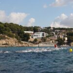 Milla Verda 2014 de Benissa