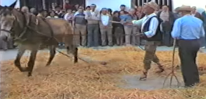 Batre a la festes del Corpus de Benissa de 1986