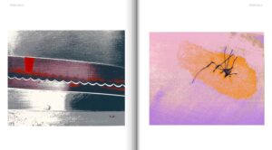 Obra de l'exposició "Arte cisoria",   de la benissera Rosa Sala