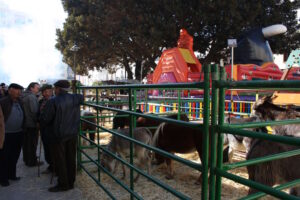 Fira ramadera a Benissa