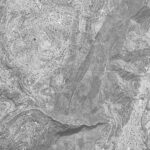 Pinos, l'estret de Cardos i l'antiga senda de Lleus a Pinos