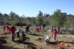 Alumnes de l'Escola Manuel Bru durant el Dia de l'Arbre