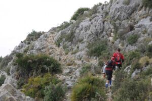 Imatge de La Perimetral