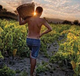 Foto guanyadora de l'edició 2014 en la modalitat "tresors d'interior"