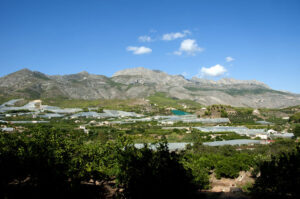 Zona de Callosa on es trobaria la urbanització