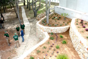 Imatge dels treballs fets a la zona de pineda entre la piscina i les pistes de pàdel de Benissa