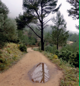 Foto a la imatge més original 2015