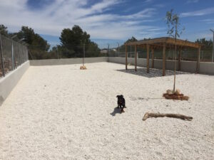 Alberg caní de Benissa