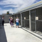 Alberg caní de Benissa i Teulada-Moraira