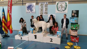Exposició canina de bellesa a Benissa