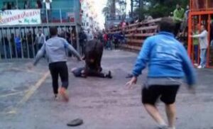 Moment en què el bou agafa l'ancià