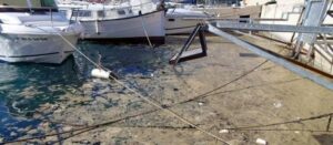 Una "bava" de fitoplàncton cobreix els ports de Xàbia,   Moraira i Benissa