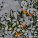 Foto nevada 2017 a Benissa