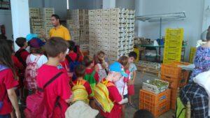 Els alumnes de l'Escola d'Estiu aprenen com es prepara el raïm de moscatell