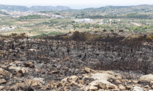 La zona cremada a Canor