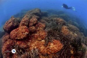 Fotografia de Rafael Fernandez Caballero