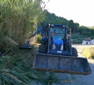 Esbrossament de canyars