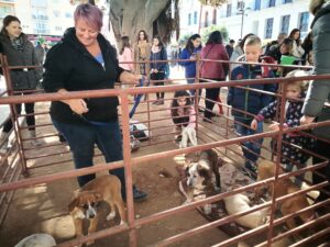 1r Festival Adopta a Benissa