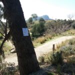 Cartells a les zones afectades pel verí