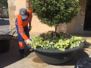 Tasques de jardineria de Benissa Impuls