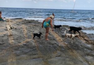 Una dona ahir a La Llobella amb quatre gossos desnugats