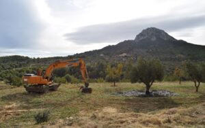 Una màquina arranca ametlers al terme de Benissa