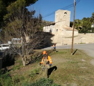 Desbrossada prop de la Casa de Tros de les Calcides