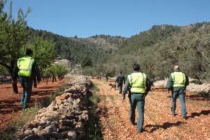 Batuda a Benissa amb gossos experts en detecció de verins