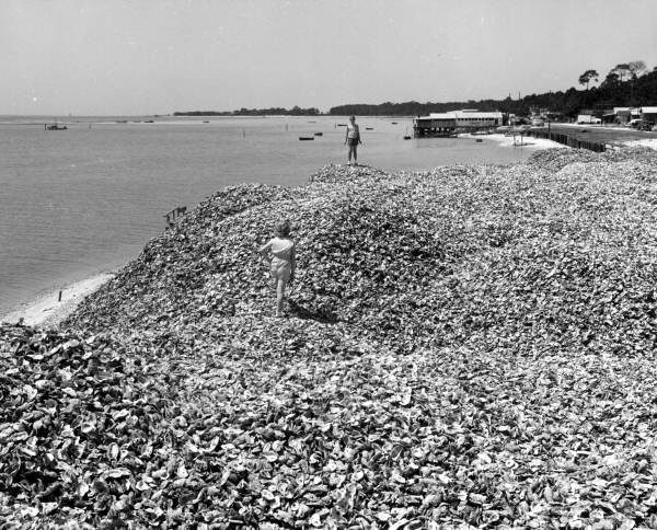 De “petxilines” i història, per Vicent Baydal