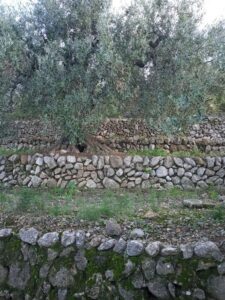 Marge de pedra en sec