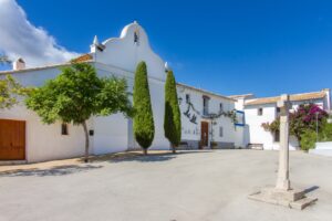 La Plaça de Pinos