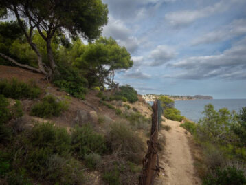 PSPV-PSOE i Reiniciem Benissa sol·liciten informes sobre el projecte urbanístic “Patmore” al Ministeri i a la Generalitat