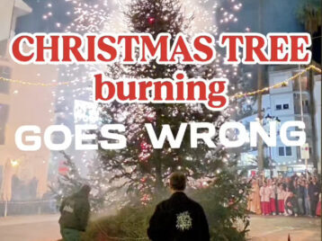 Esglai en la crema de la Foguera de Sant Antoni