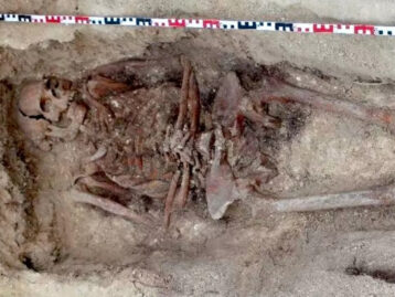 El Síndic investiga greus deficiències en l’exhumació de les restes de brigadistes internacionals a Benissa